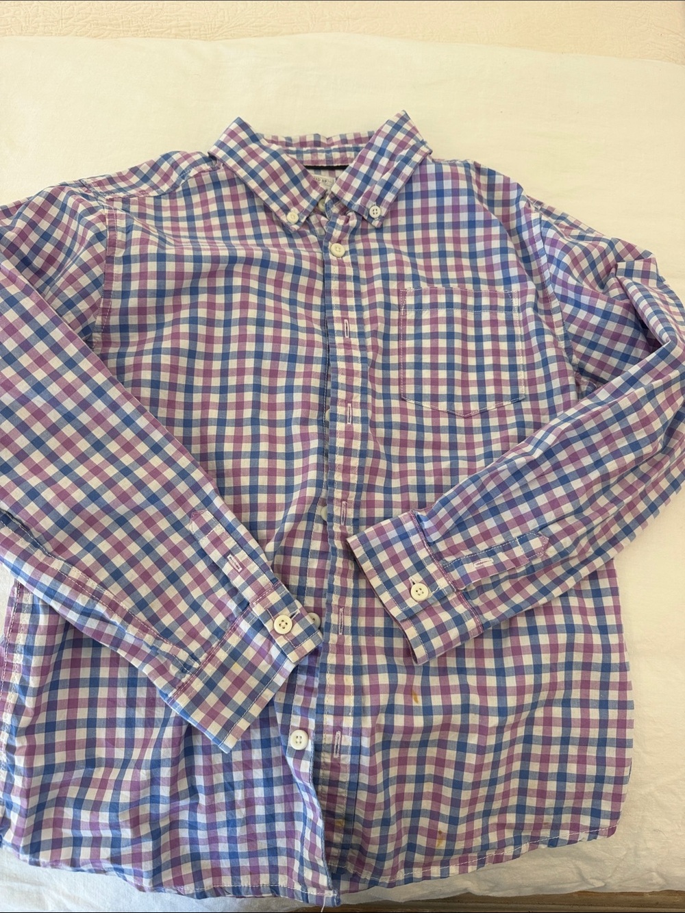 Gymboree Boys Button-Down Plaid Shirt in Purple and Blue